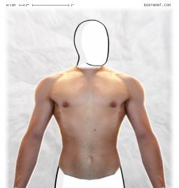 Torso