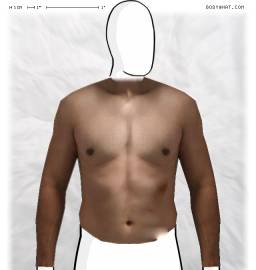 Torso