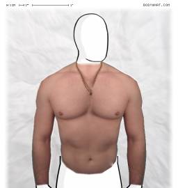 Torso