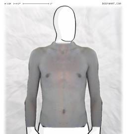 Torso