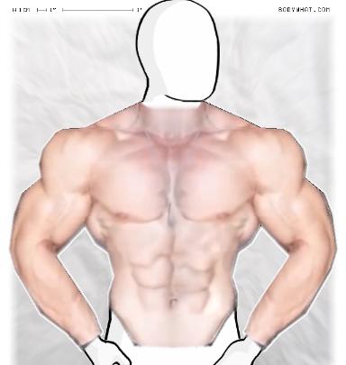 Muscle-ing up