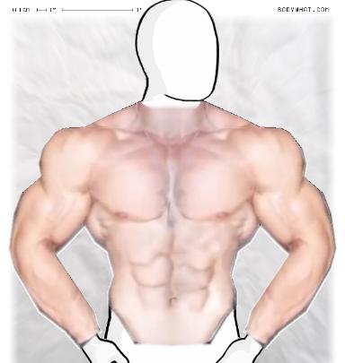 Muscle-ing up