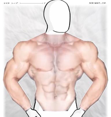 Muscle-ing up