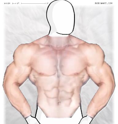 Muscle-ing up
