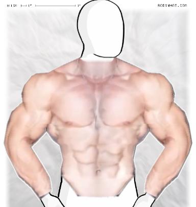 Muscle-ing up