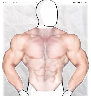 Muscle-ing up