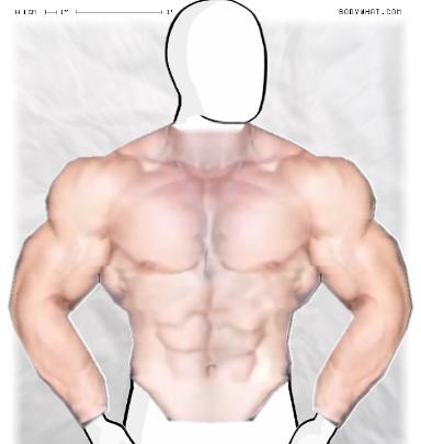 Muscle-ing up