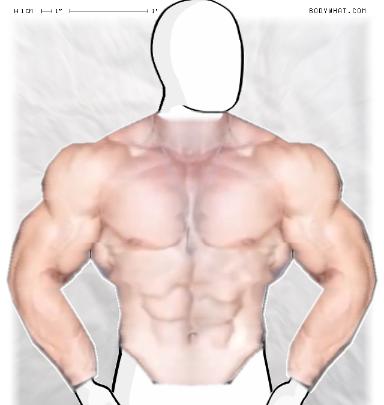 Muscle-ing up