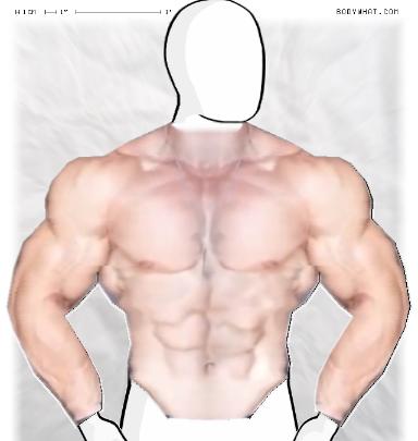 Muscle-ing up