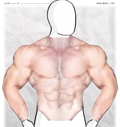 Muscle-ing up