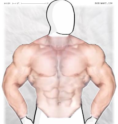 Muscle-ing up
