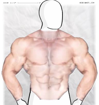 Muscle-ing up