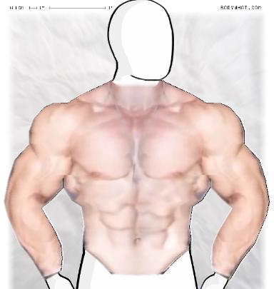 Muscle-ing up