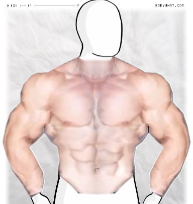 Muscle-ing up