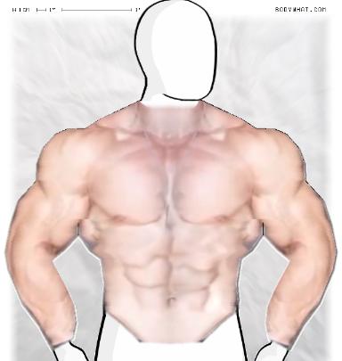 Muscle-ing up