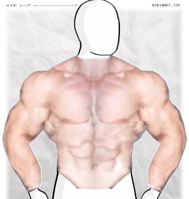 Muscle-ing up