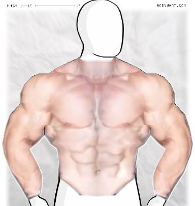 Muscle-ing up