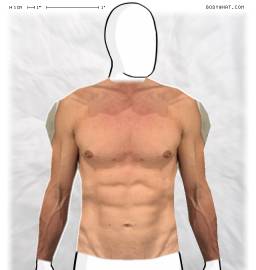 Torso