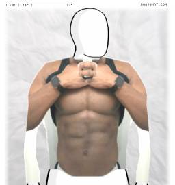 Torso