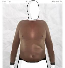 Torso