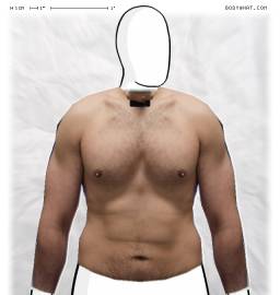 Torso