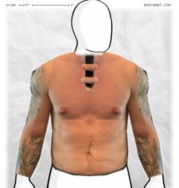 Torso