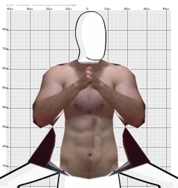 Torso