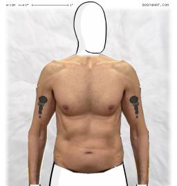 Torso