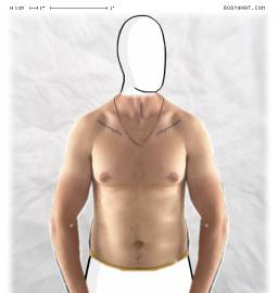 Torso
