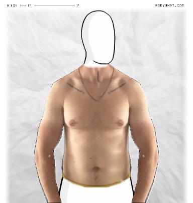 Muscle Morphing
