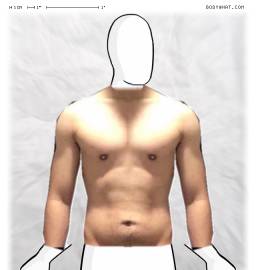 Torso