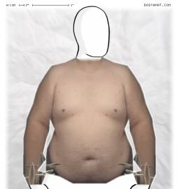 Torso