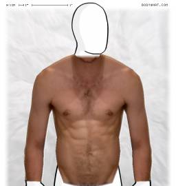 Torso