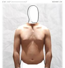 Torso