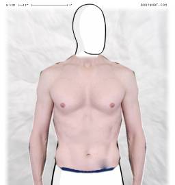 Torso