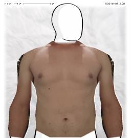 Torso