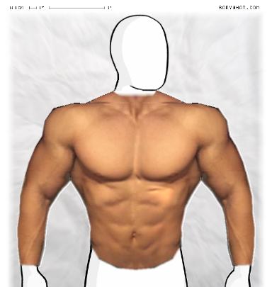 Muscle-ing up