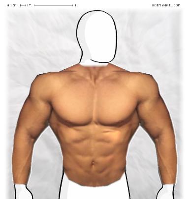 Muscle-ing up