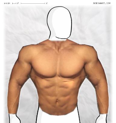 Muscle-ing up