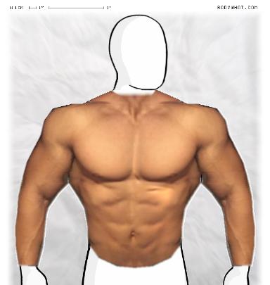 Muscle-ing up