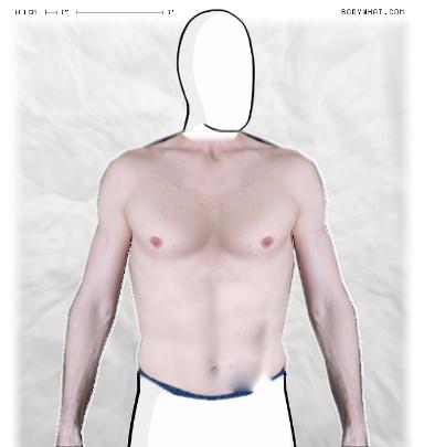 Muscle Morphing