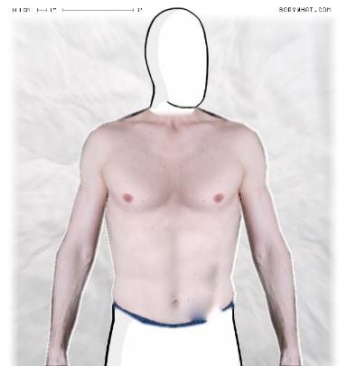 Slim Morphing