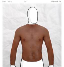 Torso