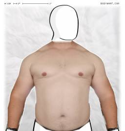 Torso