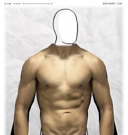 Torso