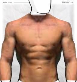 Torso