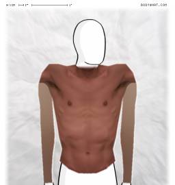 Torso