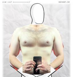 Torso