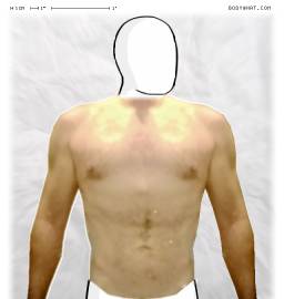 Torso