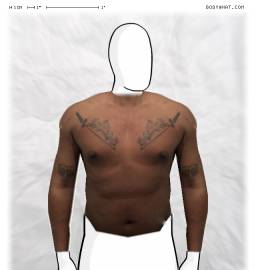 Torso